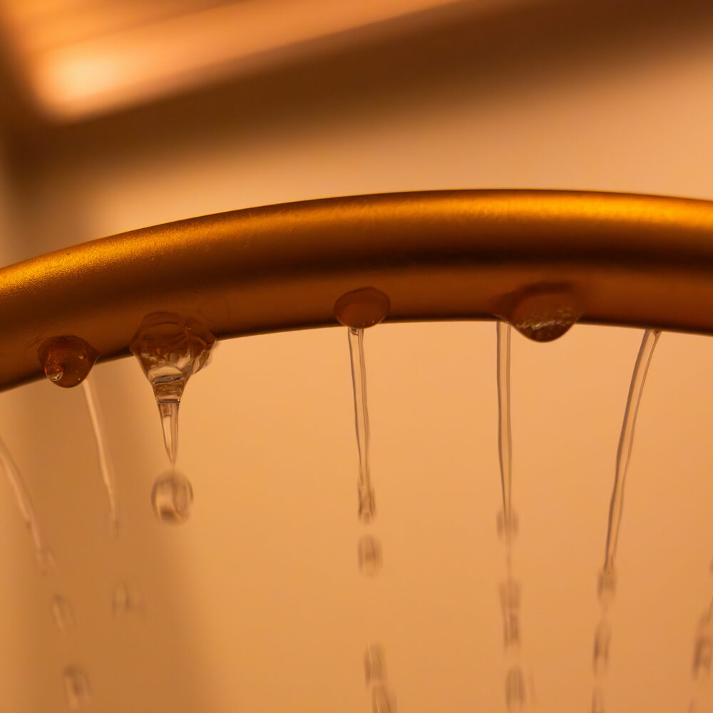 IVY Head Spa deventer foto