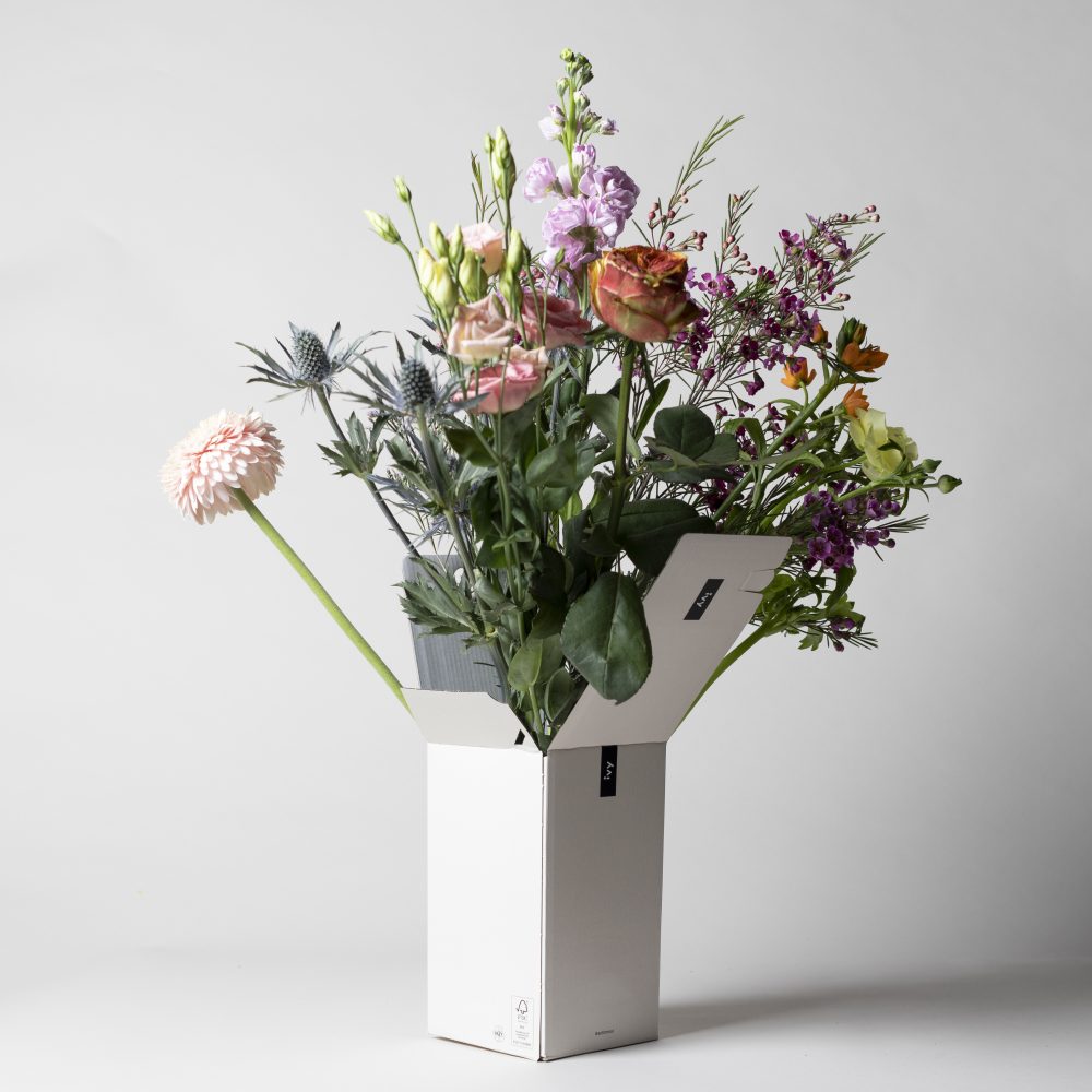 IVY beeld maart april hires 12