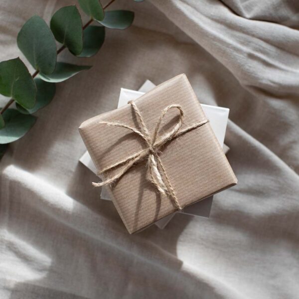 IVY Favorieten van 2024