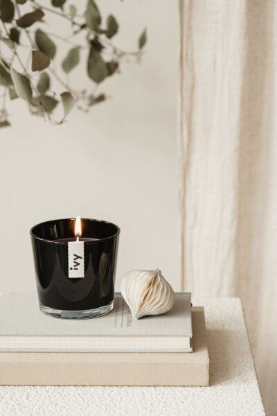 Ontdek de favorieten van team IVY