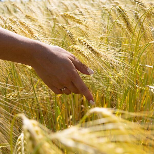 Geen reisverpakkingen vanuit duurzame overwegingen