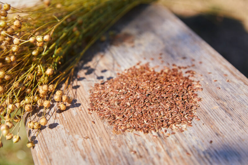 Ivy lijnzaadveld detail